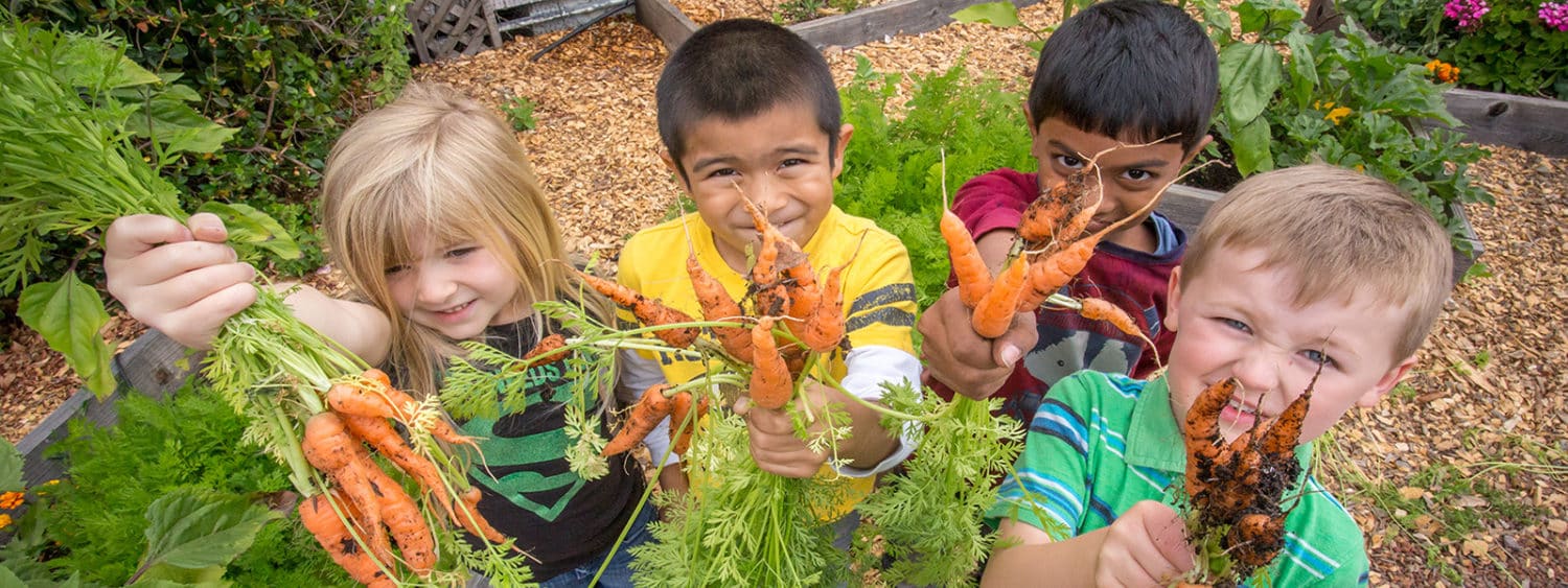 Garden Of Eatin North Bay Children S Center