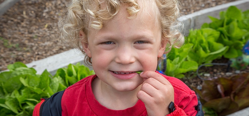 A young child with curly blonde hair and a red shirt smiles while standing in a garden, holding a small green leaf near their mouth, with lush green plants and soil in the background.