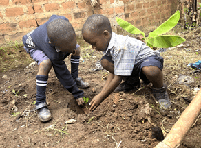 Two Ugandan boys gardening